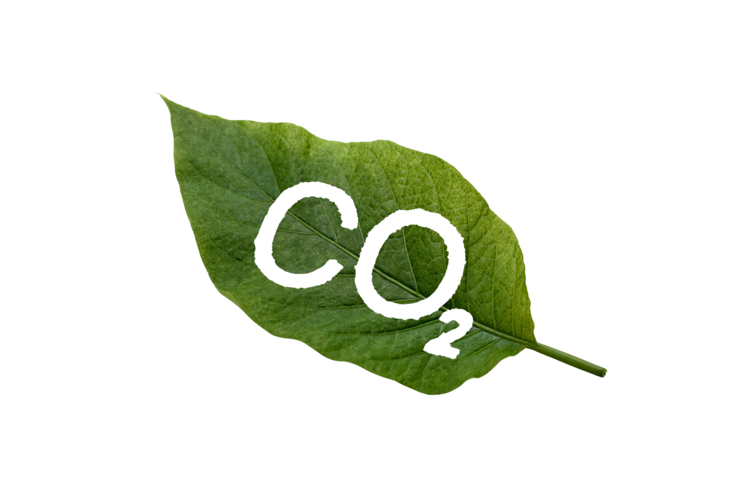Réduction CO2 avec installation photovoltaïque
