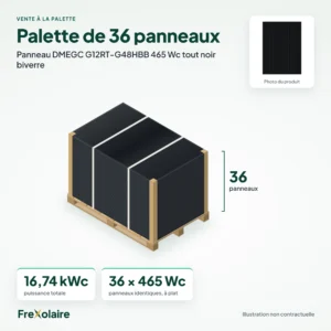 Palette de 36 panneaux DMEGC G12RT-G48HBB 465 Wc tout noir biverre – illustration non contractuelle