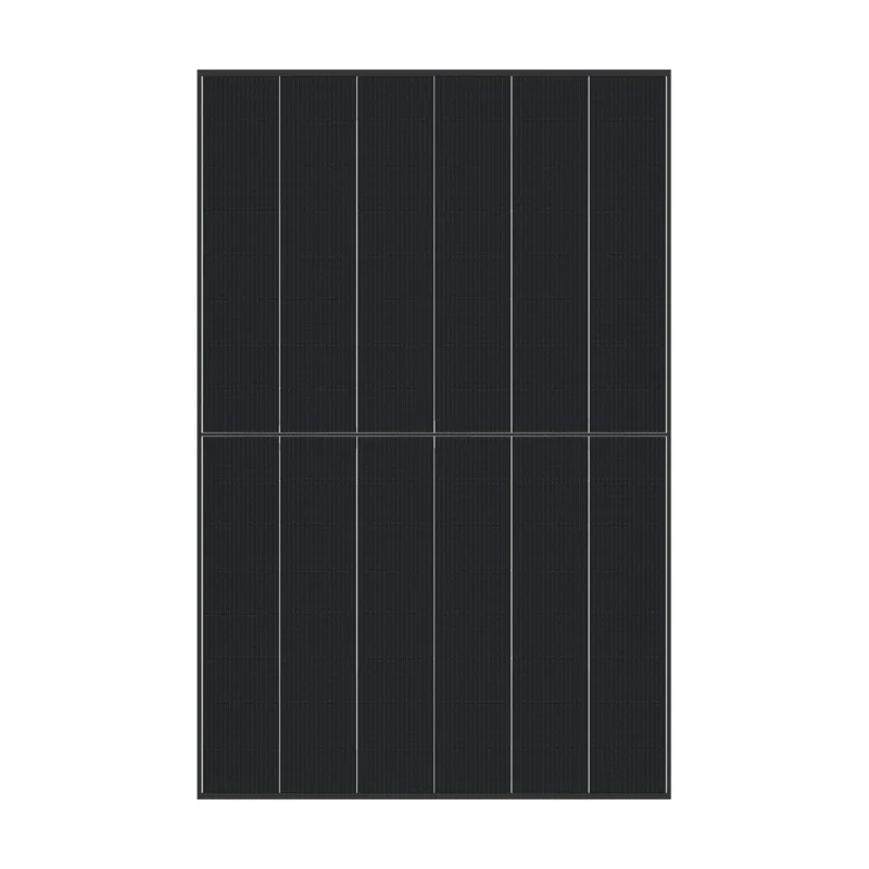 Panneau solaire DMEGC G12RT-B48HBT 3.0 vu de face : cellules noires, fond transparent et cadre noir